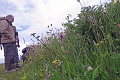 07 07 16_8621_edited-1